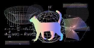 🦋✨✨Consciousness and Quantum Reality